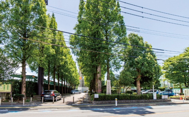 福岡県営名島運動公園
