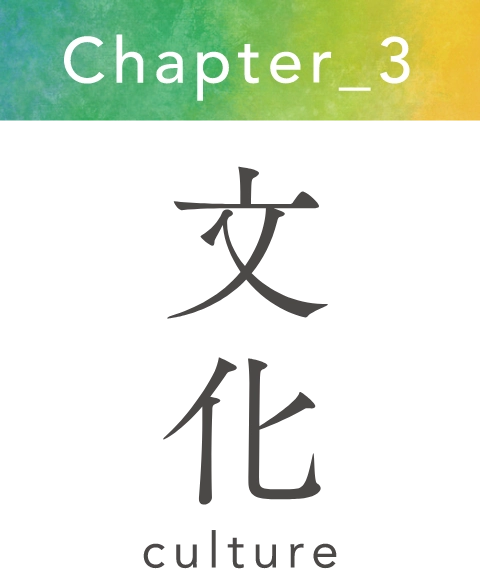 Chapter_3 文化
