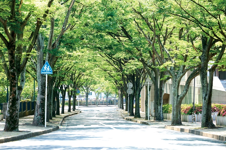 福岡工業大学敷地内道路