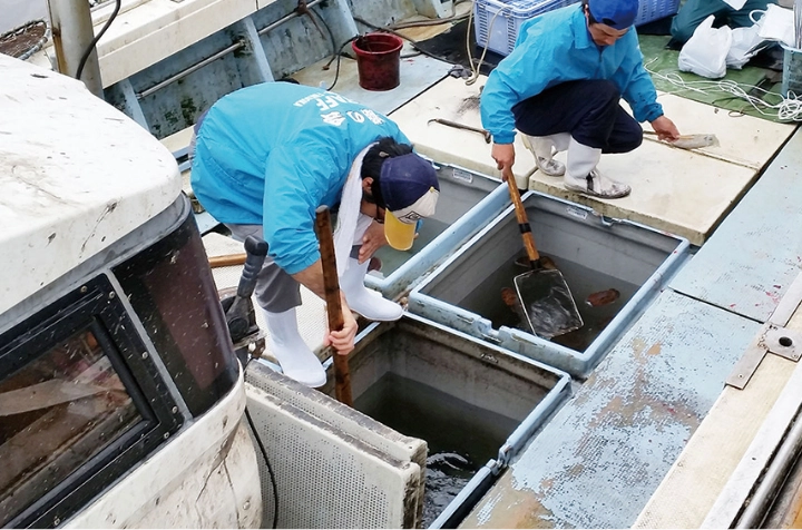 相島の漁師のいけま売り