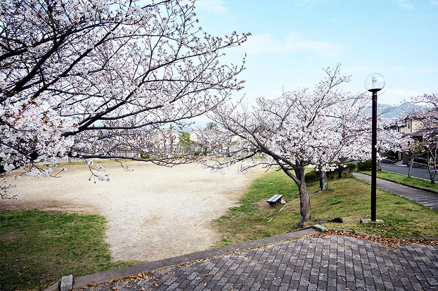 桜山手公園