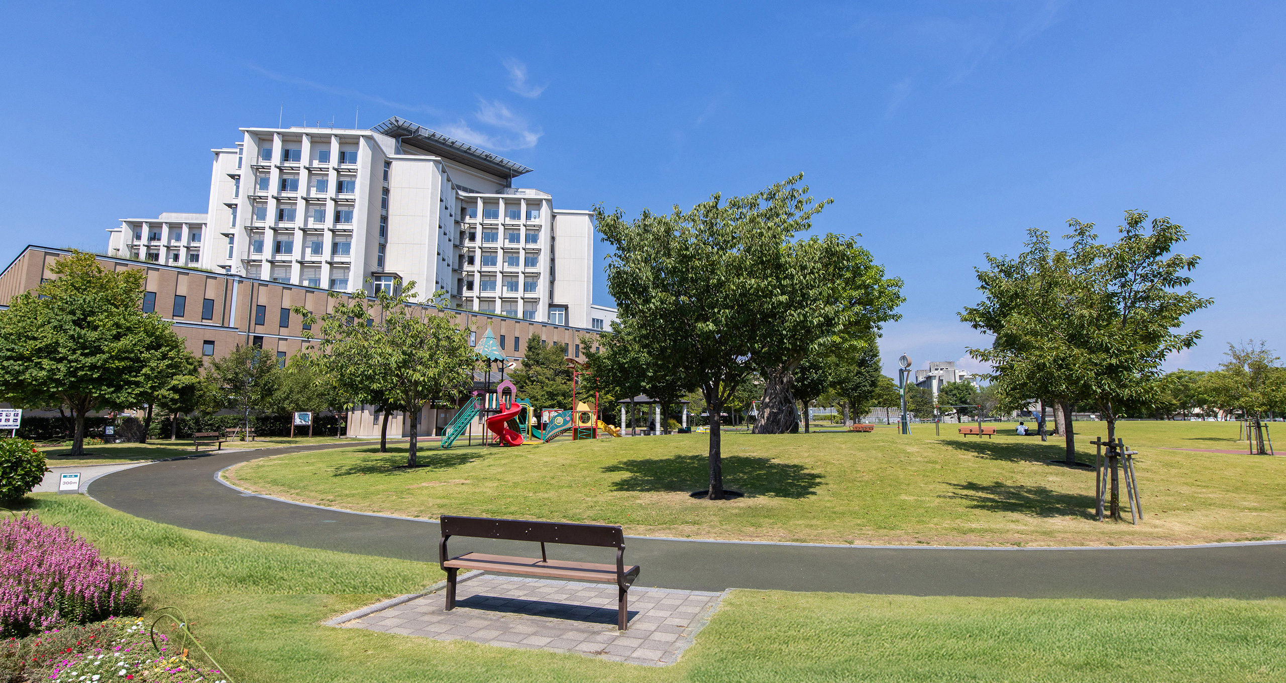 上荒田の杜公園